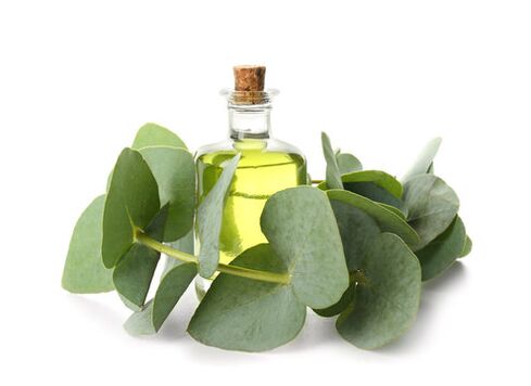 Huile d'eucalyptus dans le cadre de la crème Demxil
